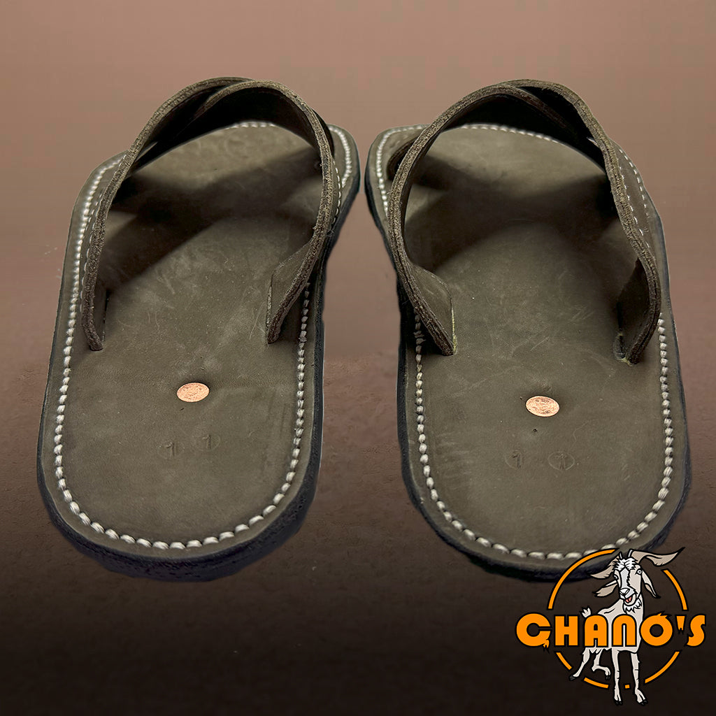 SAGE SLIDES